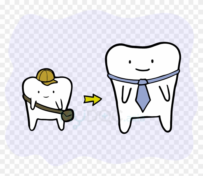 Teeth And Bone Growth - Dental Braces #854587