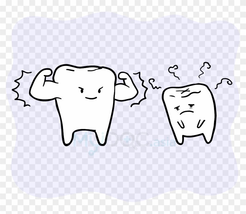 The Health And Strength Of Our Teeth Can Affect Our - Dental Braces #854593