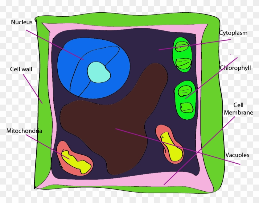 Hd Overview Stack Of Books Clip Art Free Open Book - Plant Cell Labeled Clip Art #854596