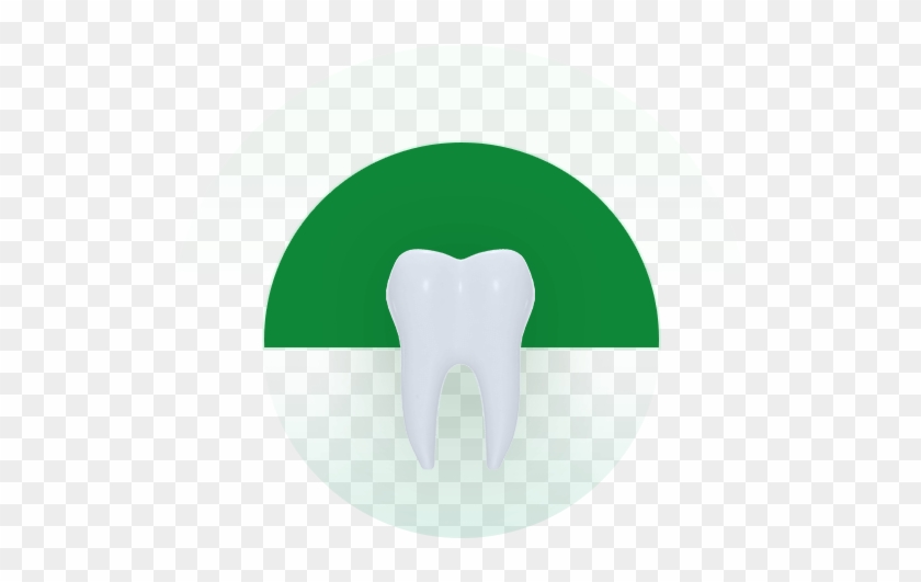 Xylitol Enhance Your Teeth's Calcium And Keep It Healthy - Illustration #854641
