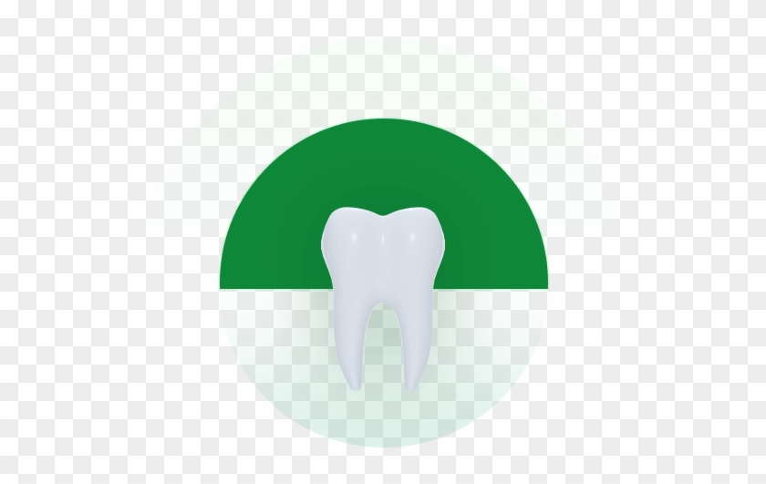 Xylitol Enhance Your Teeth's Calcium And Keep It Healthy - Illustration #854641