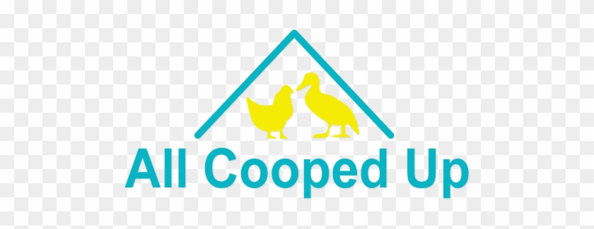 Chicken Houses, Duck Houses, Hen Houses, Goose Houses, - Cooped Up In The House #854830