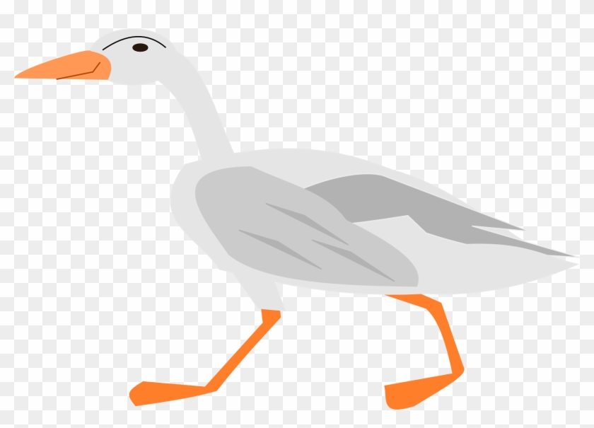 Bird Clipart Goose - Goose Clipart No Background #855076
