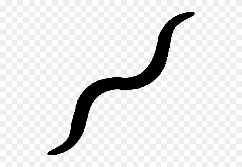 Earthworm Worm Png - Black Worm Png #855114