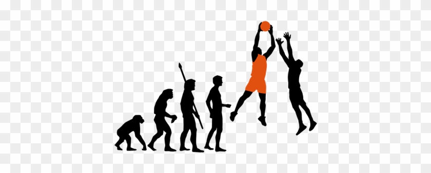 Evolution Basketball Dg0087bbal - Volleyball Evolution #855123