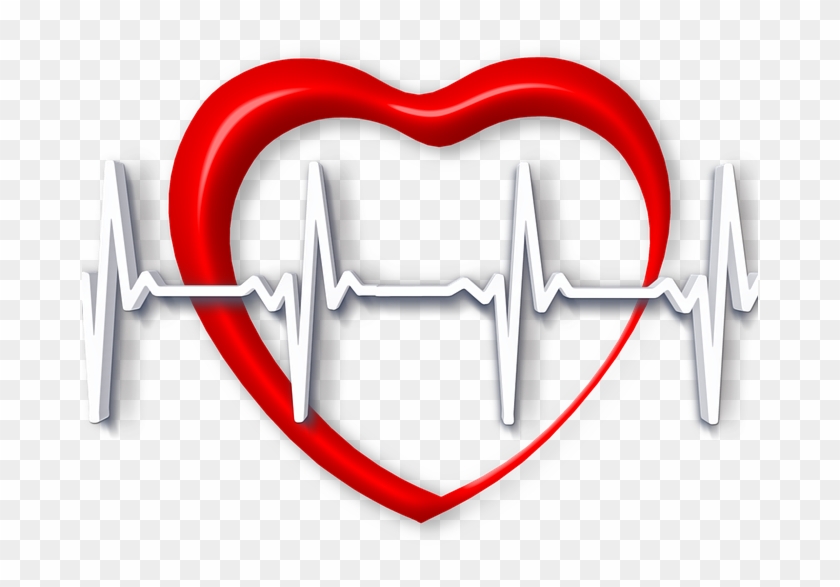 Speed Of Heart Rate Recovery May Help To Predict Mortality - 心拍 数 #855184