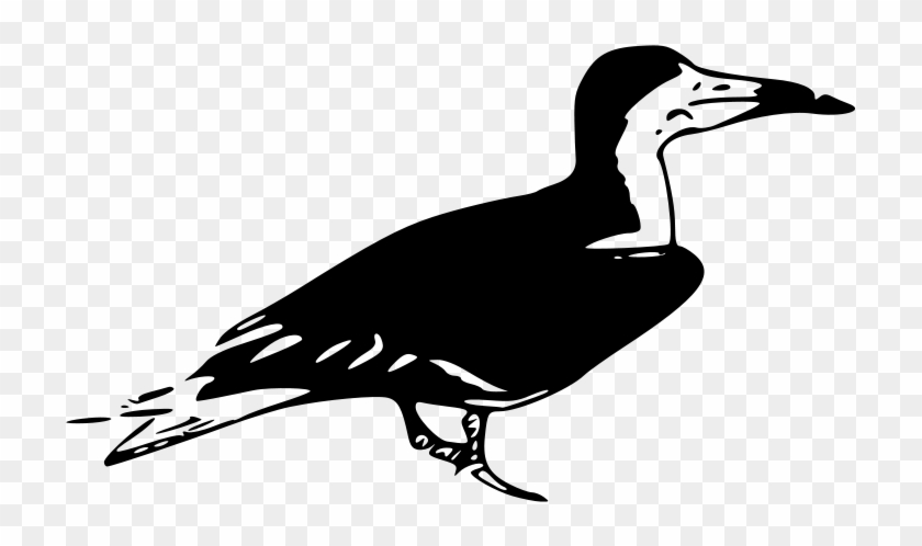 Bird Clip Art #855338