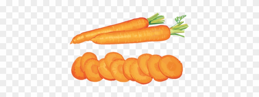 Papaya Clipart Buah Buahan - Zanahoria Rebanadas Png #855707