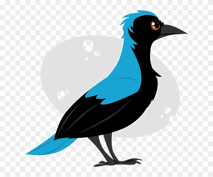 Asian Fairy Bluebird By Ribbedebie - Asian Fairy-bluebird #855980