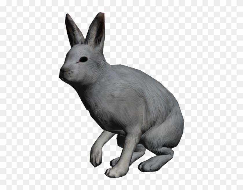 Arctic Hare Clipart Transparent - Burro #855986