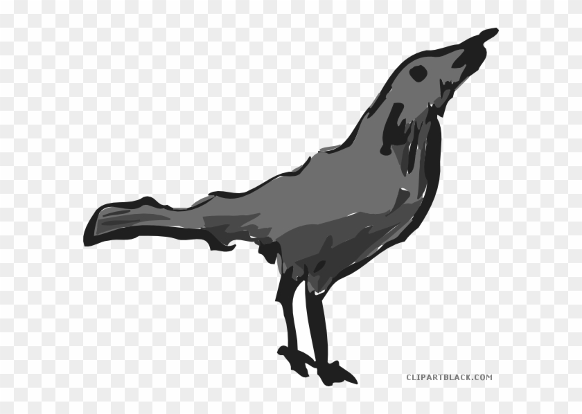 Bluebird Animal Free Black White Clipart Images Clipartblack - Bird #856097