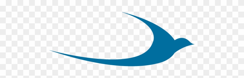Division Of Bluebird Broadband - Division Of Bluebird Broadband #856202