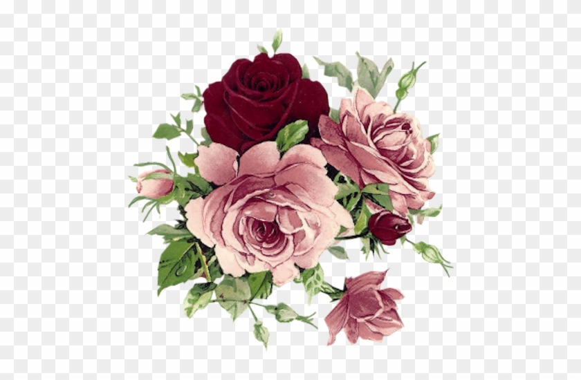 Beautiful Pink And Wine Colored Roses - Flowers Vintage #856328