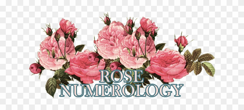 Link To Rose Numerology - It's Been A Long Time Since I Felt Right #856409