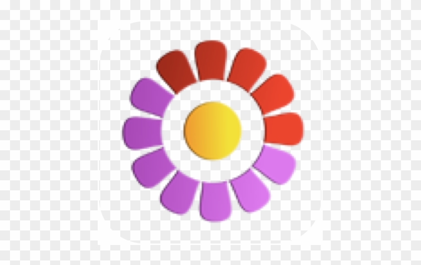 Period & Ovulation - Color Wheel Floral Design #856636