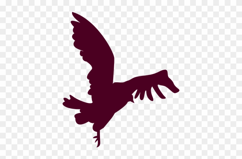 Bird Flying Close To Landing Silhouette Transparent - Secuencia Silueta Png #856742