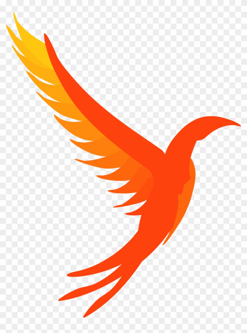 The Illumos Logo - Illumos Logo #856769