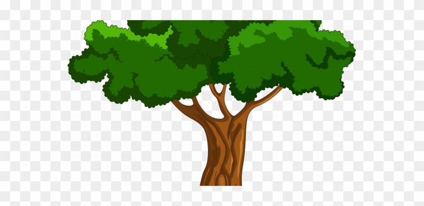 Easily Cartoon Tree Picture Png Clip Art Best Web Clipart - Big Book Of Beginner Reading Stories By Naomi Bradley #856900