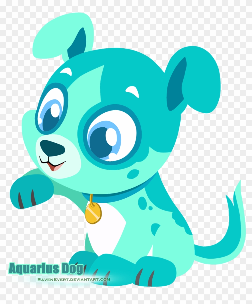 Aquarius Dog - Pet #857147