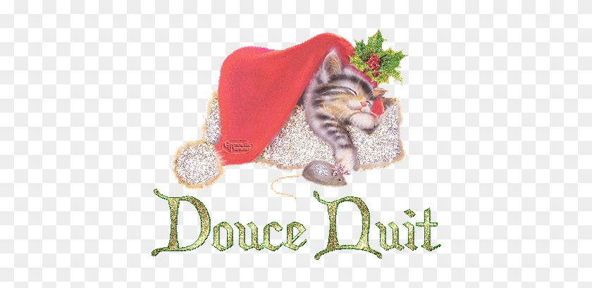 Douce Nuit - Chat - Bonnet - Gif Scintillant - Gratuit - Bonne Nuit
