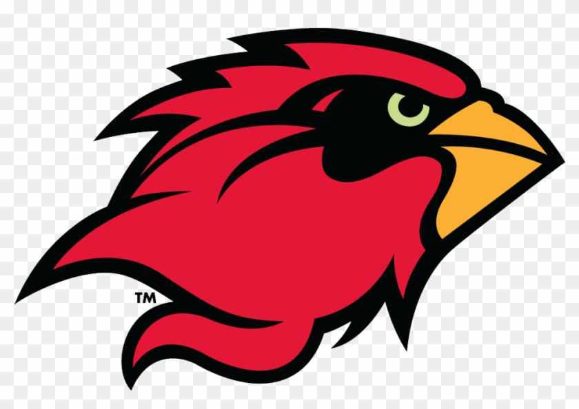 Lamar Cardinals Men's Basketball- 2018 Schedule, Stats, - Lamar University #857990