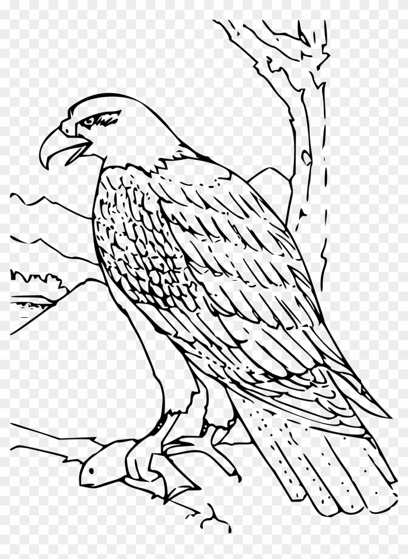 Bird Of Prey Clipart Diving - Hawk Black And White Clipart #858376