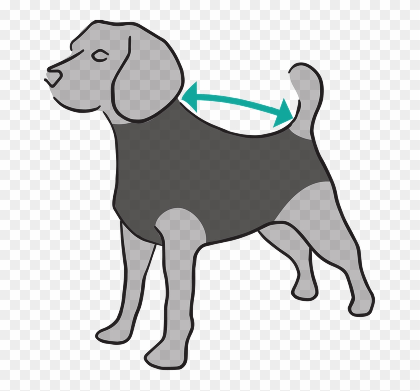 Cats - Recovery Shirt Dog #858738