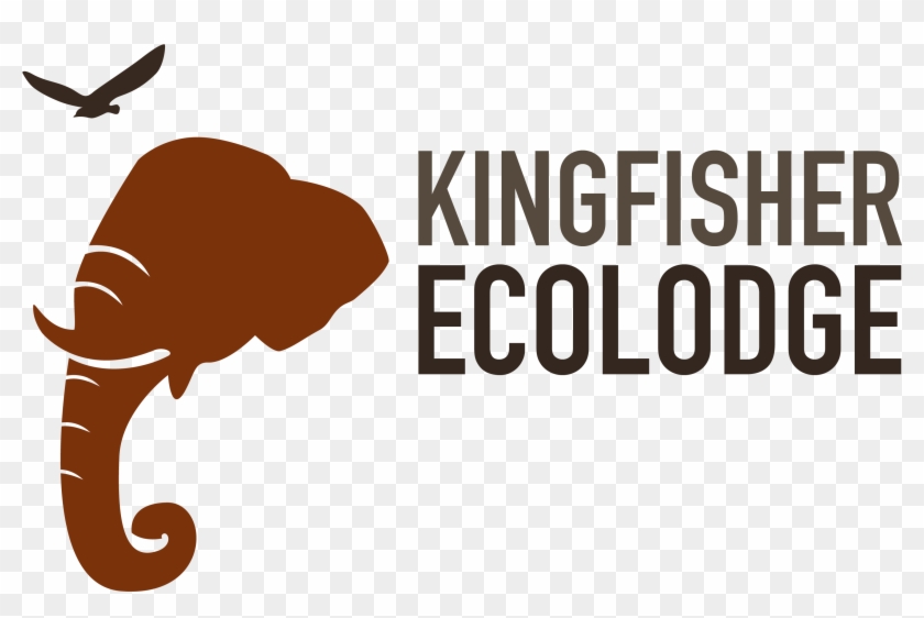 Kingfisher Ecolodge Logo - Kingfisher Ecolodge #859057