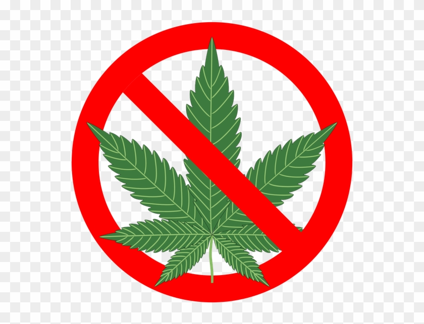 Written By David Castellon - Reasons Not To Smoke Marijuana: The Complete ] #859774