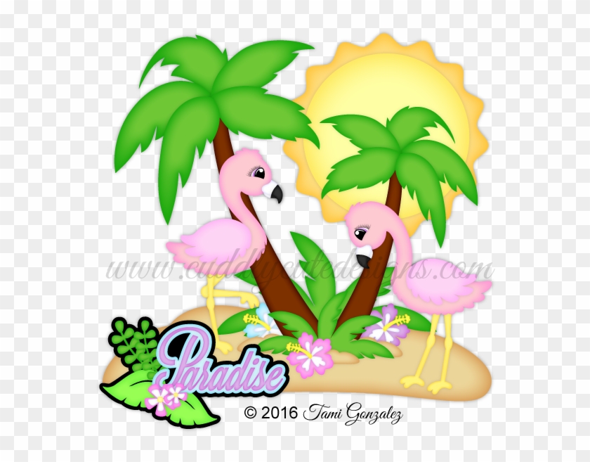 Paradise Flamingos - Flamingo #859848