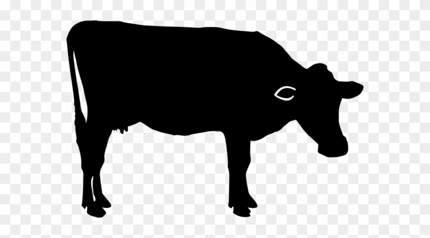 Cow Silhouette Graphic By Aparnastjp - Dairy Cow #860096
