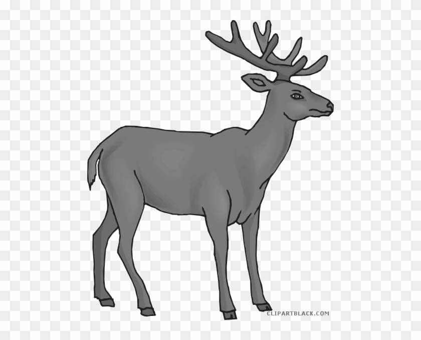 Deer Animal Free Black White Clipart Images Clipartblack - Clip Art #860460