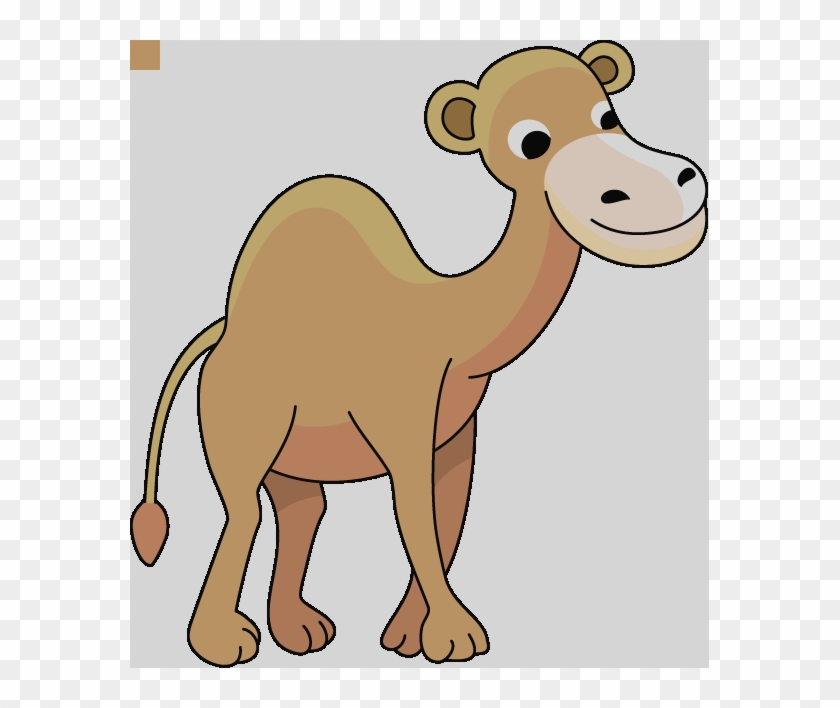 Baby Camel Clipart #860506