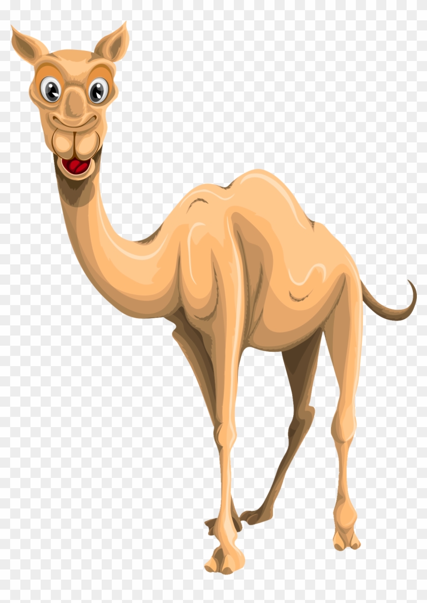 Camel Png #860510