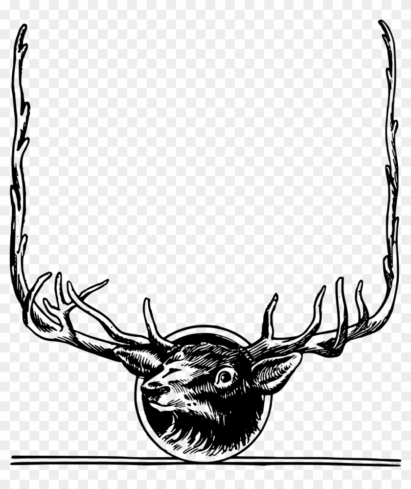 Black And White Deer Animal Free Black White Clipart - Deer Frame Png #860517