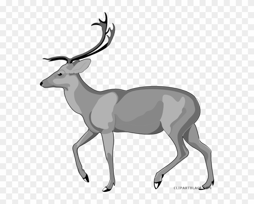 Deer Animal Free Black White Clipart Images Clipartblack - Debden Park High School #860550