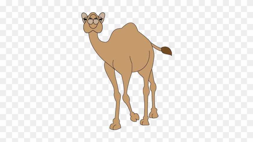 Camel Cartoon - Cartoon Camel Drawing #860551
