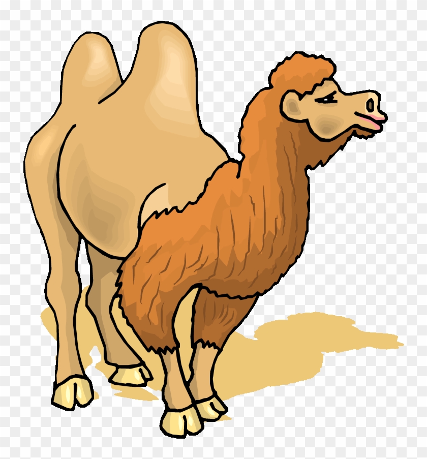 Free Camel Clipart - Two Hump Camel Clipart #860555