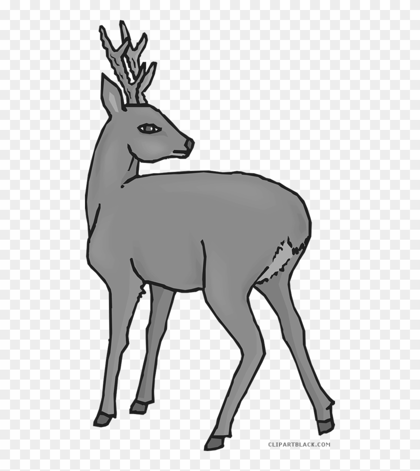 Deer Animal Free Black White Clipart Images Clipartblack - Daini Png Trasparente #860588