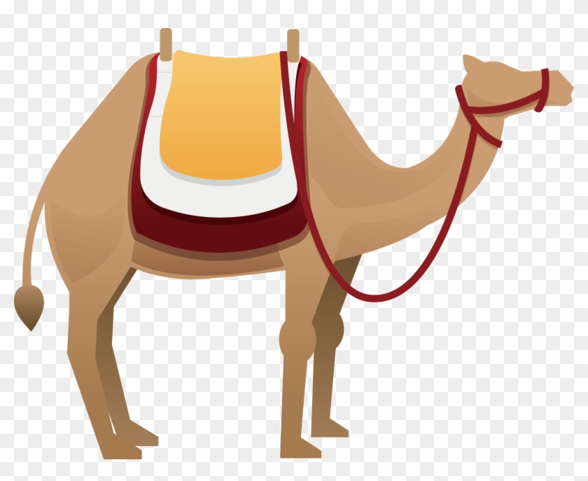Camel Euclidean Vector Clip Art - 駱駝 卡通 #860602