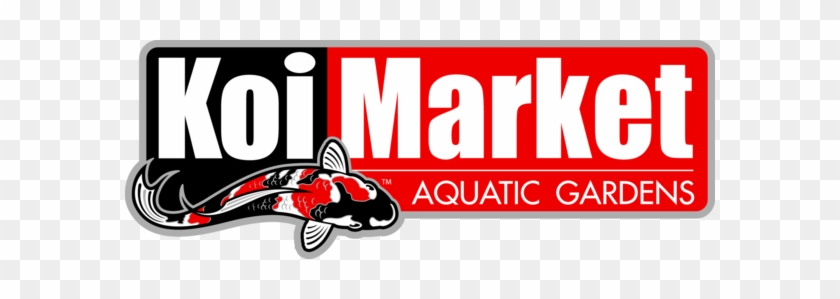 Gary Moore The Essential #860610