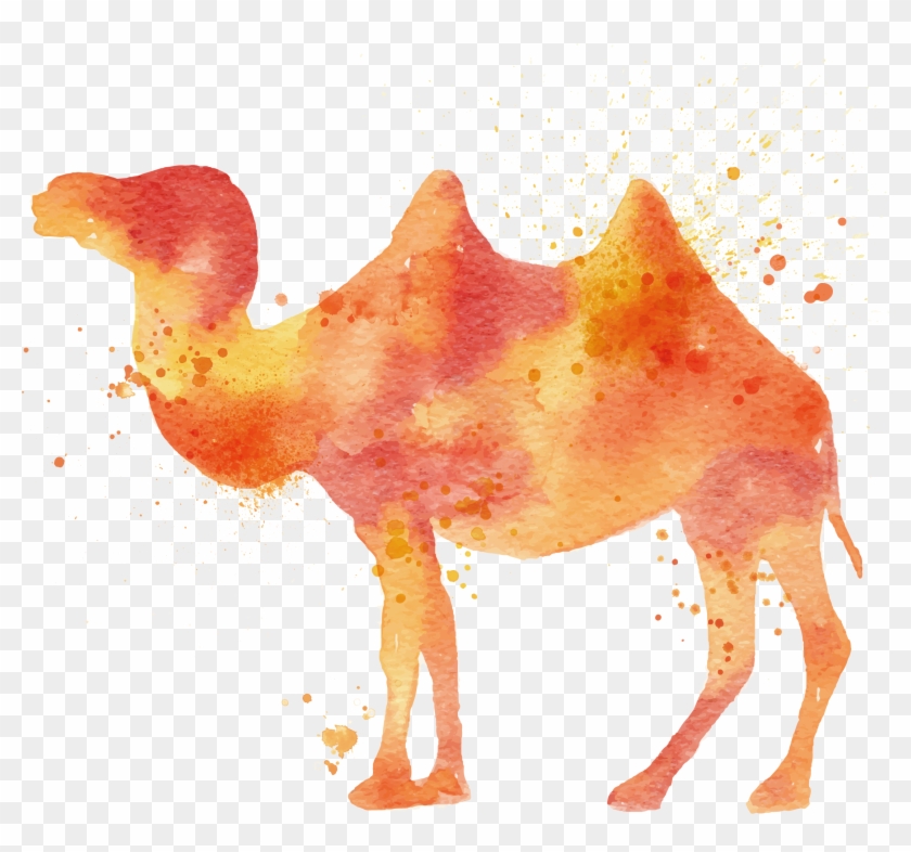Camel Watercolor Painting Illustration - Watercolor Painting #860643