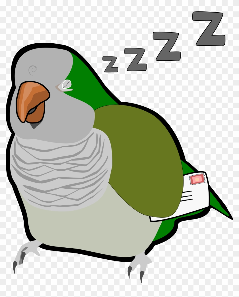 Sleepy Little Oats - Lovebird #860748