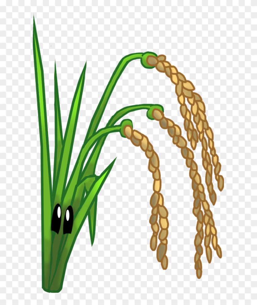 Rice - Plants Vs. Zombies #860771