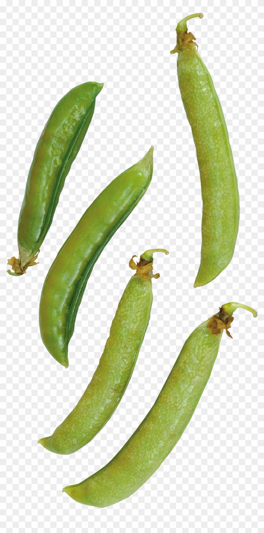 Butter Transparent Png Sticker - Pea #860801