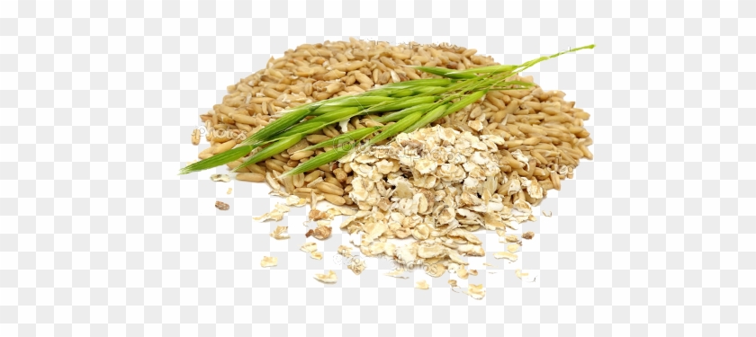 Oats Transparent Background Png - La Crusca D'avena #860899