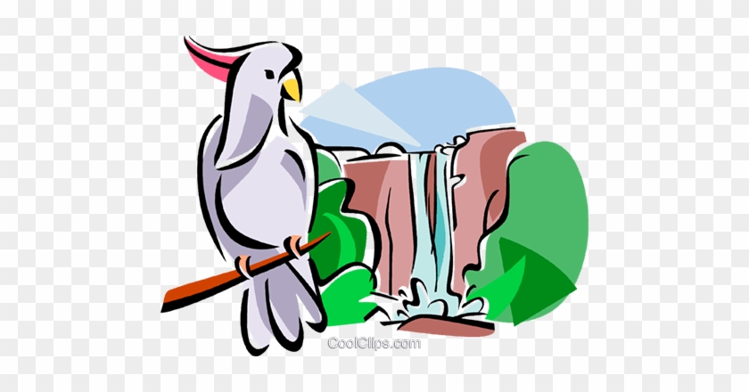 Australian Kakadu National Park Royalty Free Vector - Kakadu National Park Drawing #861074