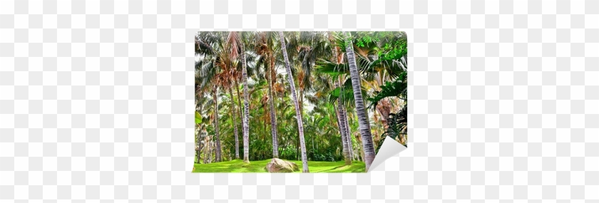 Tropical Palm Garden In Beautiful Paradise Wall Mural - Woodland #861167