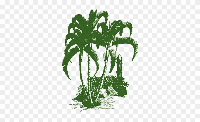 Malindi Tropical Nursery Logo - Logo For Plant Nursery #861185