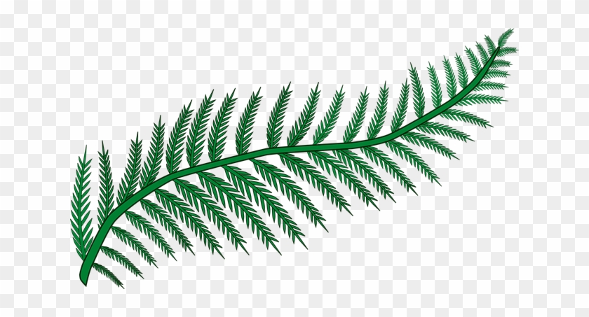 Branch, Fern, Forest, Frond, Plant, Wood, Woodland - Fern Clipart #861191